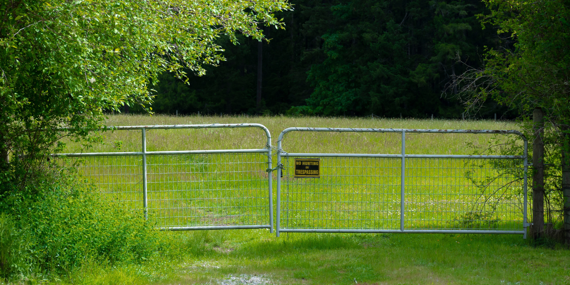 A metal gate blocks an entrance to a grassy field, with a 