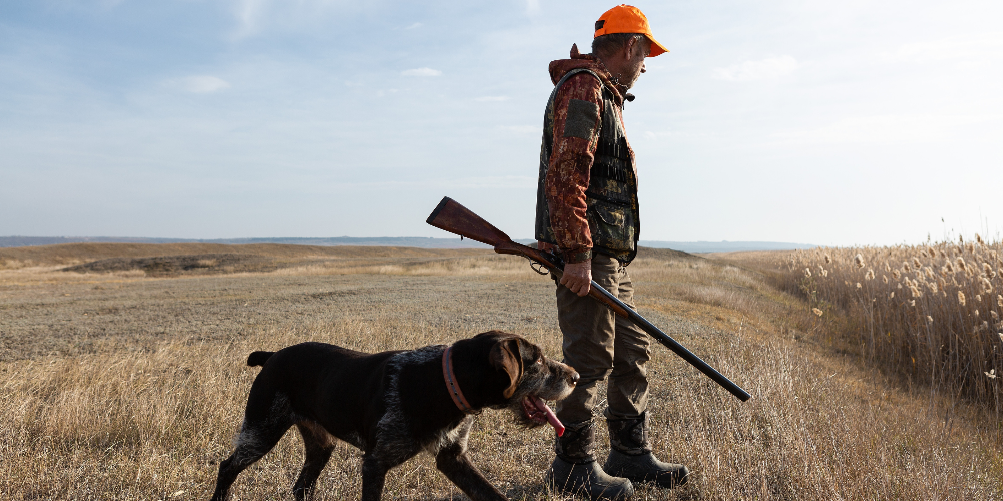 A man wearing a camouflage jacket stands in a field holding a gun, accompanied by his hunting dog.